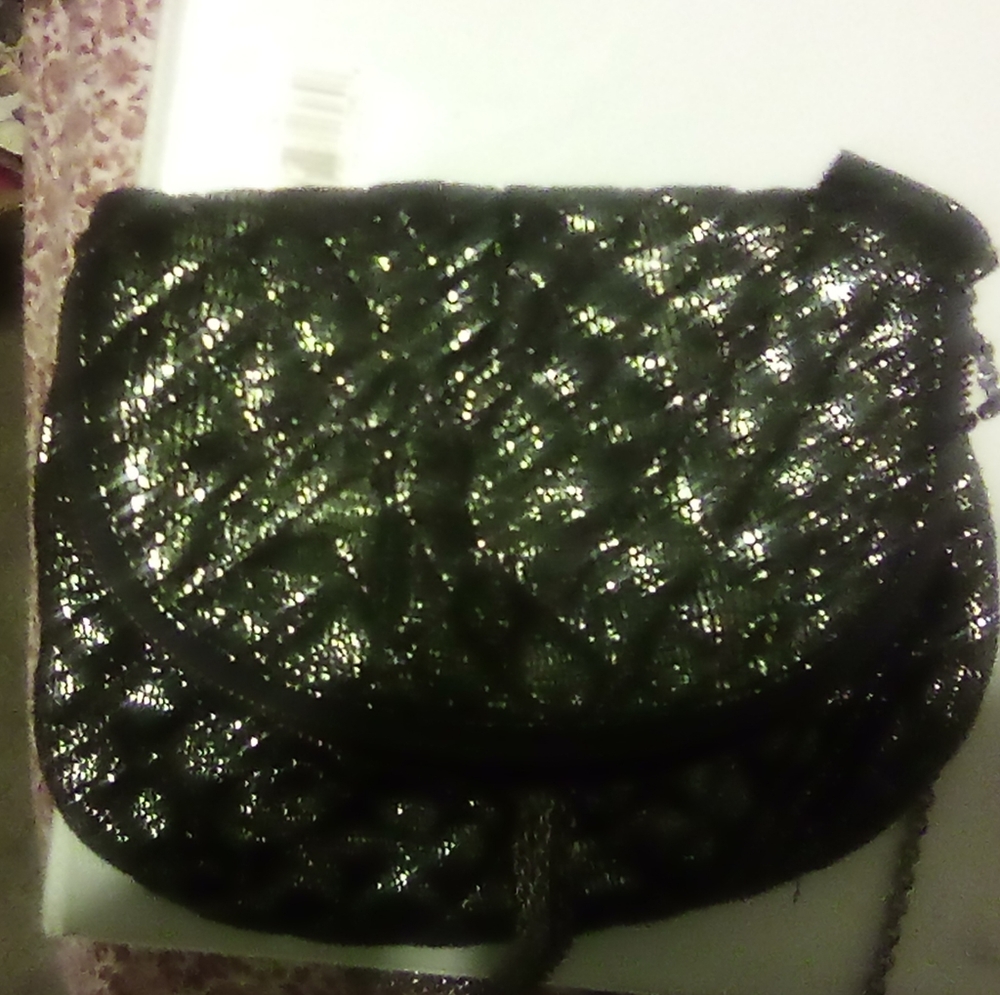 Fancy purse from gap glitter and black sparkle purse
